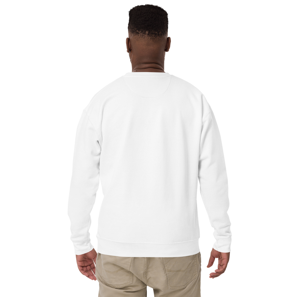 Hello My Name Is PHTEVEN Unisex Premium Sweatshirt