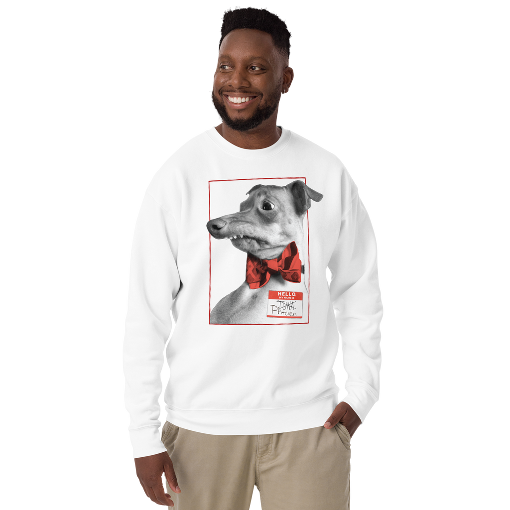 Hello My Name Is PHTEVEN Unisex Premium Sweatshirt